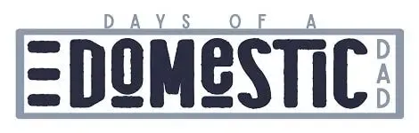 Days of a Domestic Dad