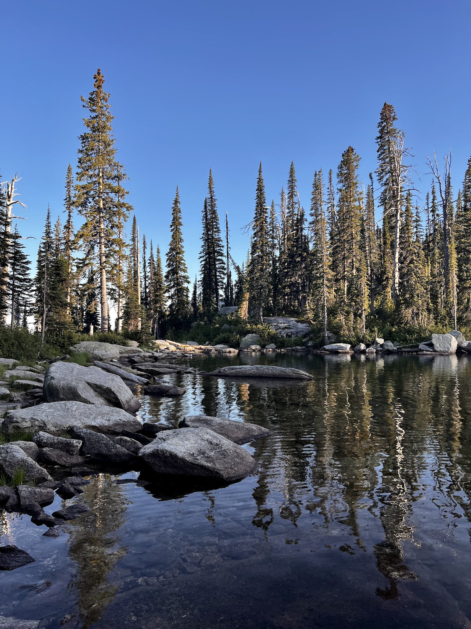 A lake surrounded by trees and rocks
