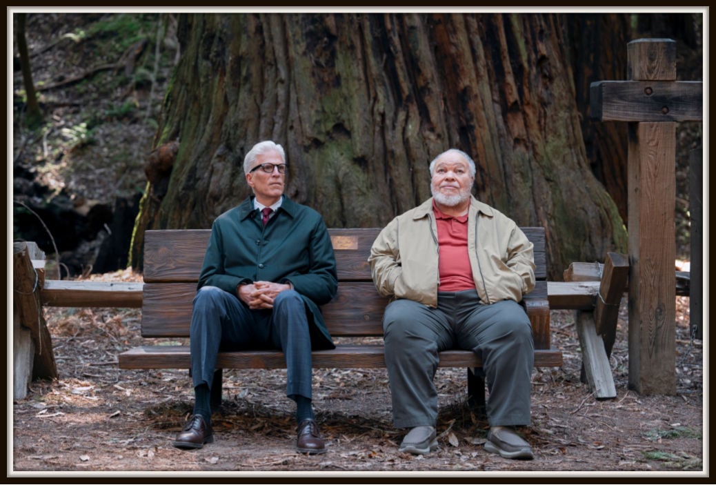 Ted Danson and co-star sit side by side on a park bench in a tranquil forest setting in A Man on the Inside. This serene moment highlights the contrast between their characters, offering a thoughtful reflection in the midst of nature.