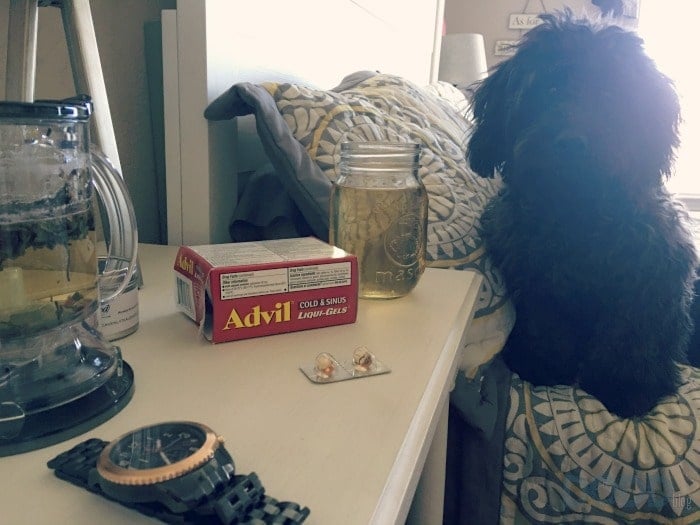 Surviving Another Winter with Advil Cold and Sinus