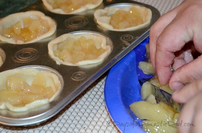 apple pie filling mini apple pie filling mini