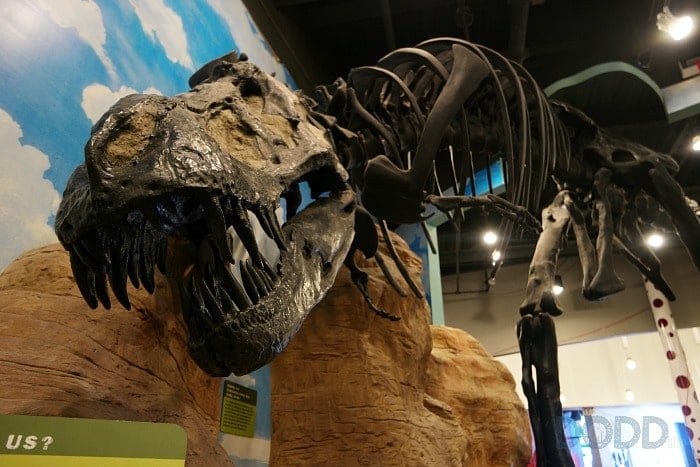 Chattanooga Creative Discovery Museum