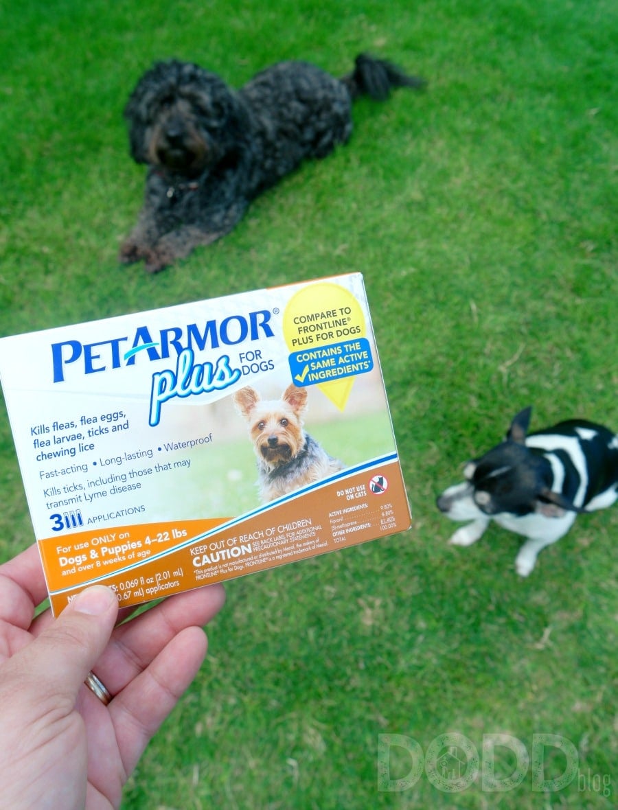 Cole and Daisy PetArmor Plus