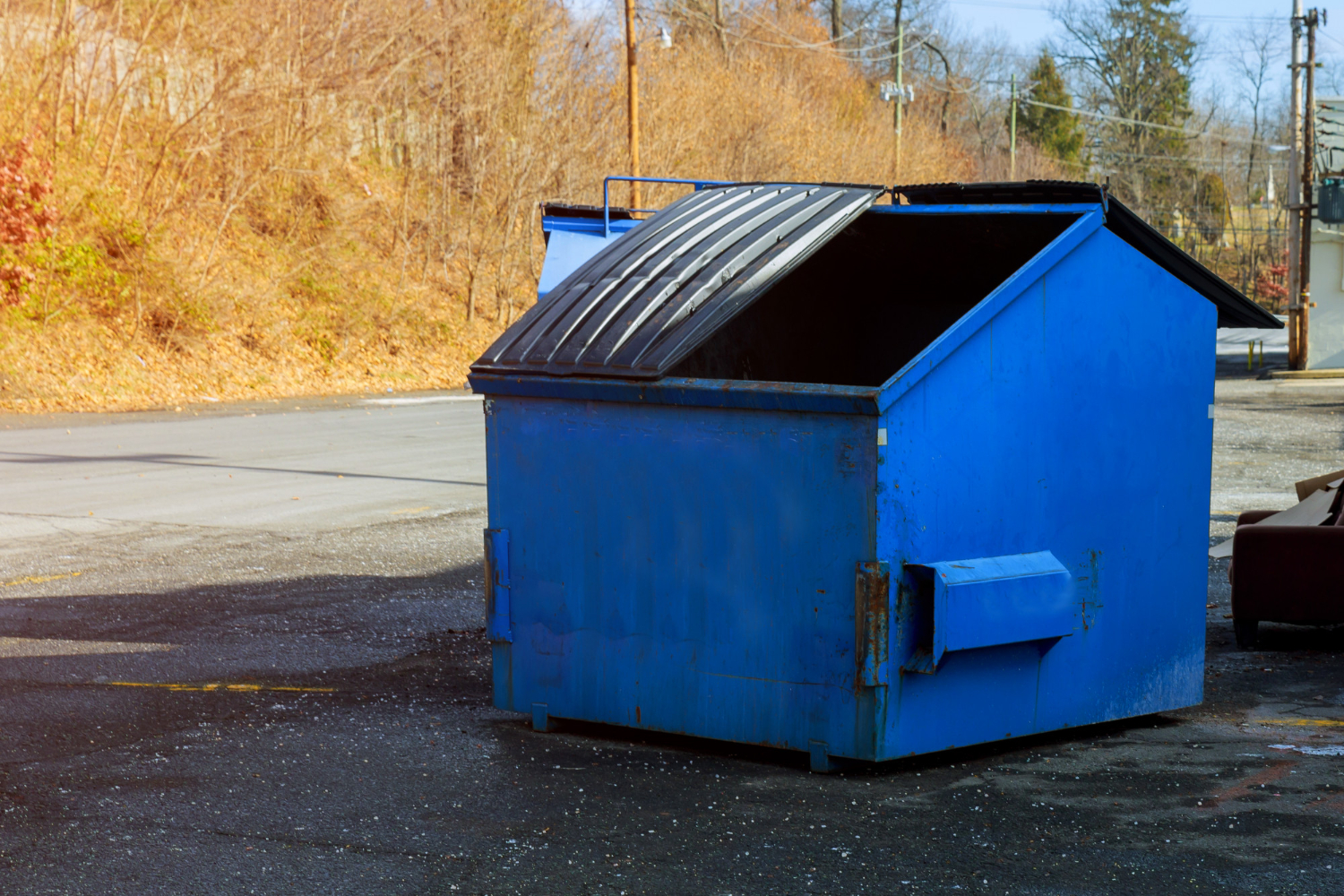 Commercial Dumpster Rental