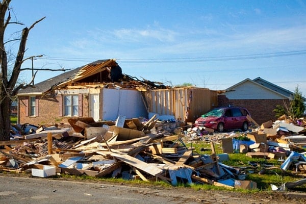 Disaster Readiness Doggy Disaster Kit