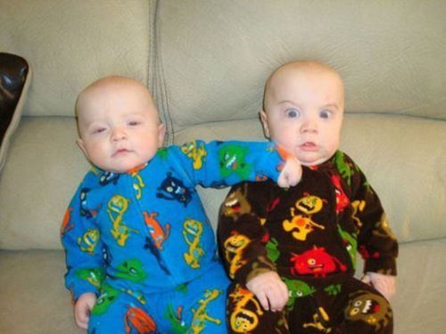 Friday Funny Friday Funny