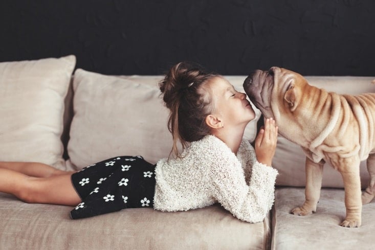 Young girl laying on a couch, nose to nose with a dog