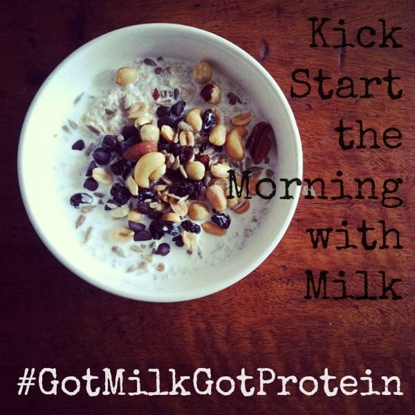 GotMilkGotProtein GotMilkGotProtein