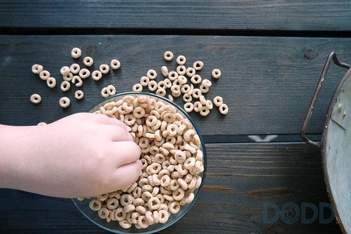 Cheerios Challenge