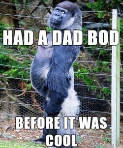dad bod meme