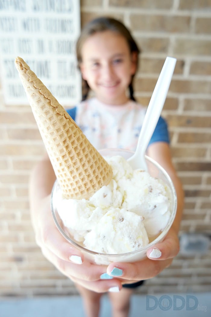 Mayfield Lemon Ice Box Pie Jaci