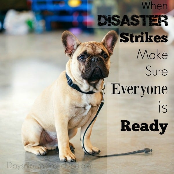 Purina Disaster Ready Doggy Disaster Kit