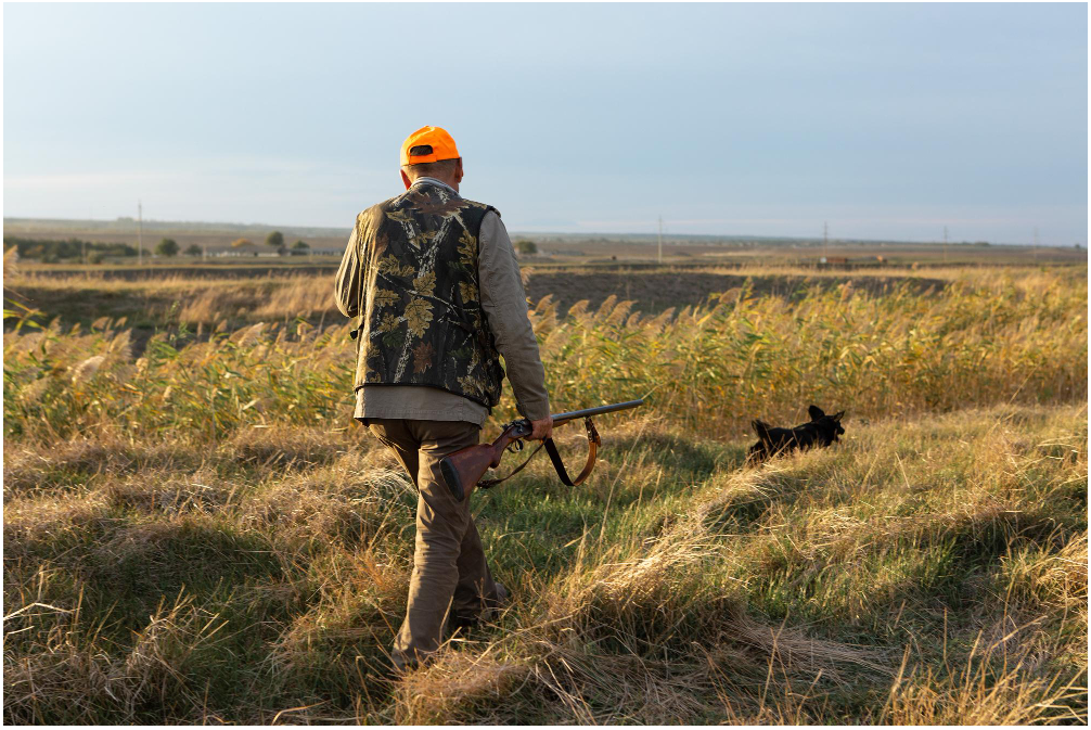 Man with a rifle and hunting dog walking through a grassy field, illustrating the benefits of setting up a hunting lease on private land.