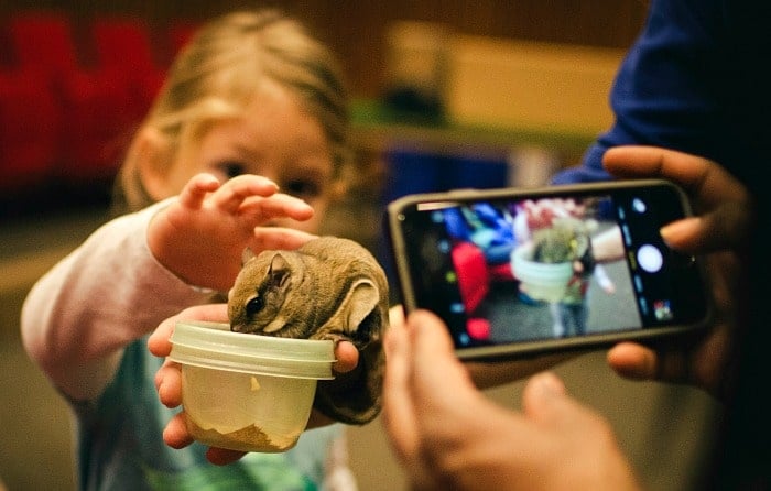 Tennessee Aquarium in Chattanooga TN