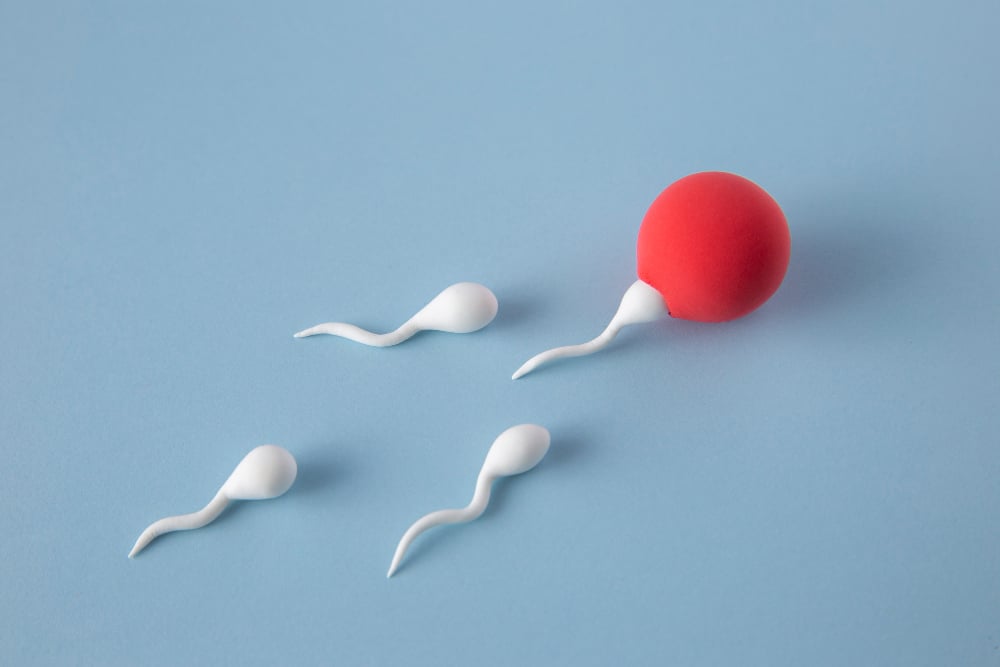 Still life fertility concept high angle