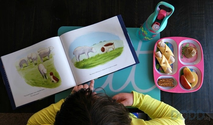 Turkey Leftover Snack