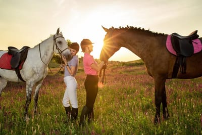 Hosting a 2025 Kentucky Derby Party: Tips for a Memorable Gathering