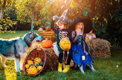 The concept of child friendship peace kindness childhood Composition of pumpkin and Halloween decorations for children in gar