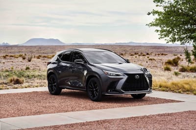 2022 Lexus NX SUV
