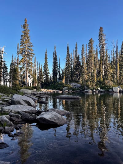 A lake surrounded by trees and rocks