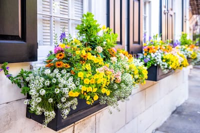 Coordinating Window Upgrades With Your Home's Style