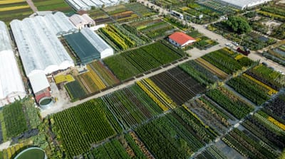 An aerial view of a large farm with many greenhouses
