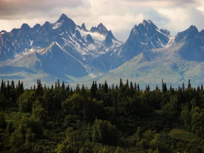 Breathtaking view of a rugged mountain range with lush green forest in the foreground.