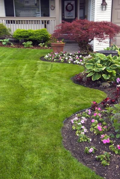 Make Your Lawn More Appealing