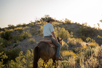 Guest horseback riding through the desert landscape at a Tubac, Arizona dude ranch during golden hour