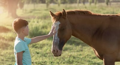 kid-petting-horse
