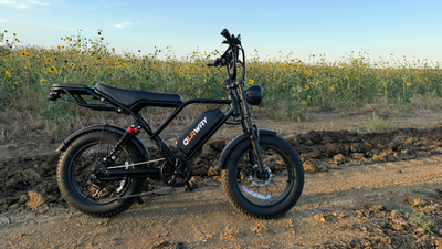 Full left-side view on a rural trail—battery in the frame triangle, dual suspension, and wide tires against a sunflower backdrop.