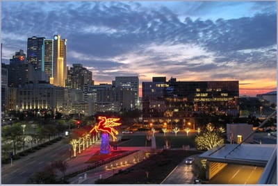 Things to do with kids when you Visit Dallas