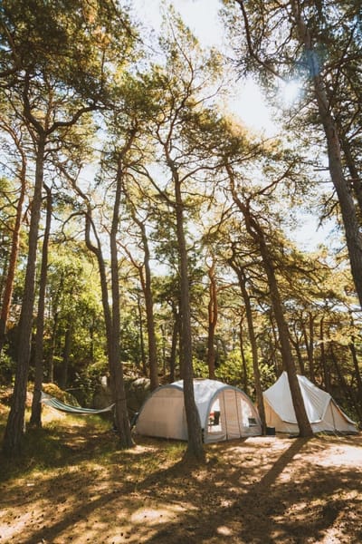 How to Start a Glamping Business: The Ultimate Guide