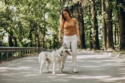 Free photo woman with her husky dog in the park