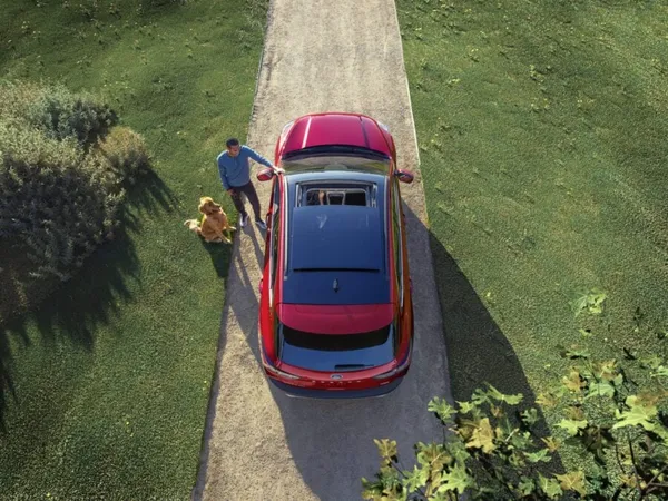 Creative Ways to Reduce Your Car's Environmental Impact