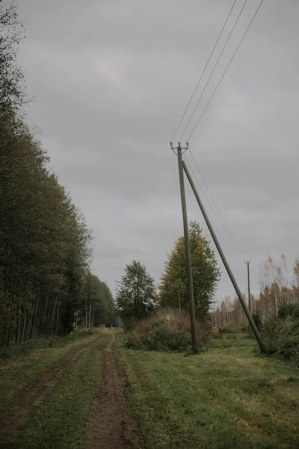 A tranquil dirt road surrounded by a dense forest under a cloudy sky, featuring utility poles.