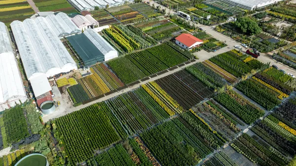 An aerial view of a large farm with many greenhouses