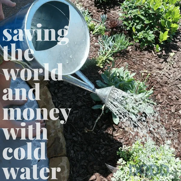 Saving the World and Money with Cold Water