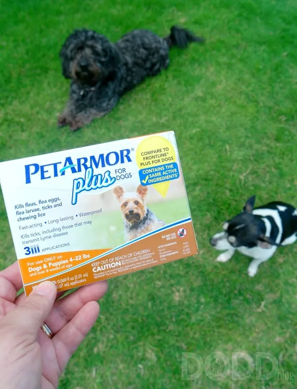 Cole and Daisy PetArmor Plus