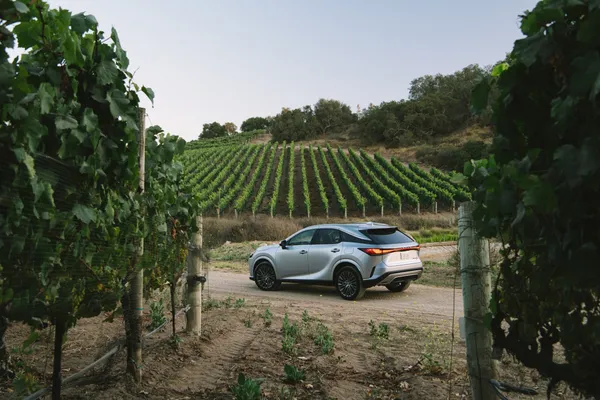 Discover the Best Features of the 2023 Lexus RX350h