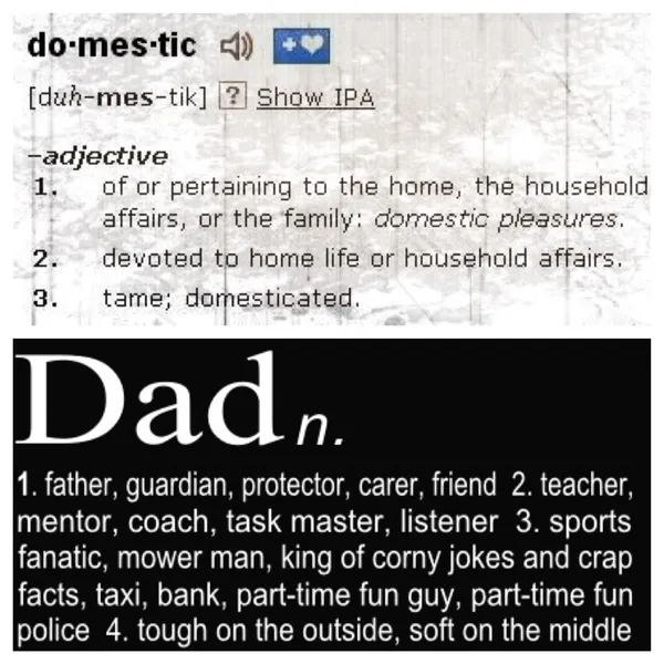 Days of a Domestic Dad