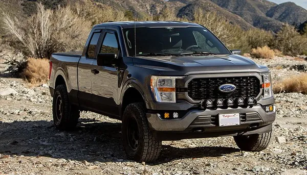 Explore Everywhere with Elevated F-150 Lighting