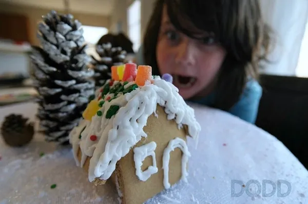 I made a Gingerbread House