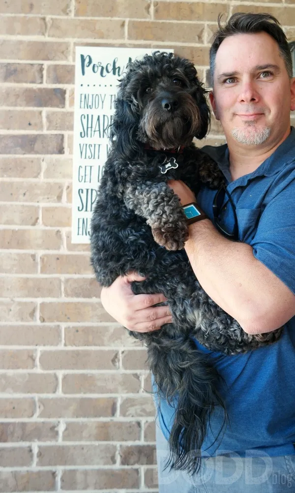 6 Advantages Of Hypoallergenic Dogs