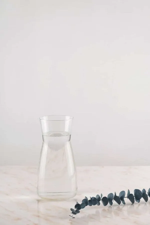 Modern water decanter with eucalyptus branches in minimalism style