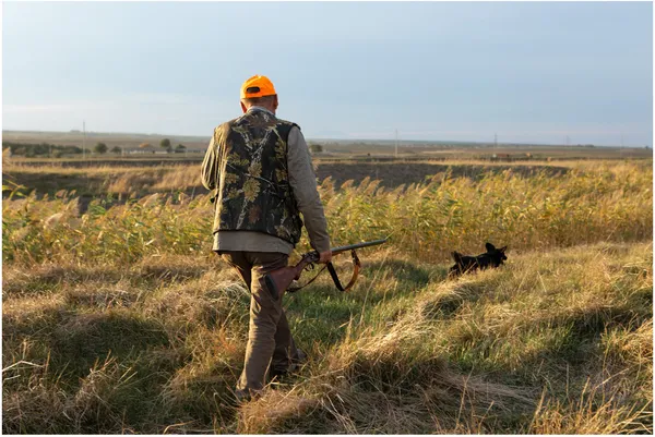 Man with a rifle and hunting dog walking through a grassy field, illustrating the benefits of setting up a hunting lease on p