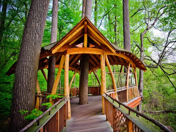 How to Build a Modern Kids' Treehouse: DIY Tips & Ideas