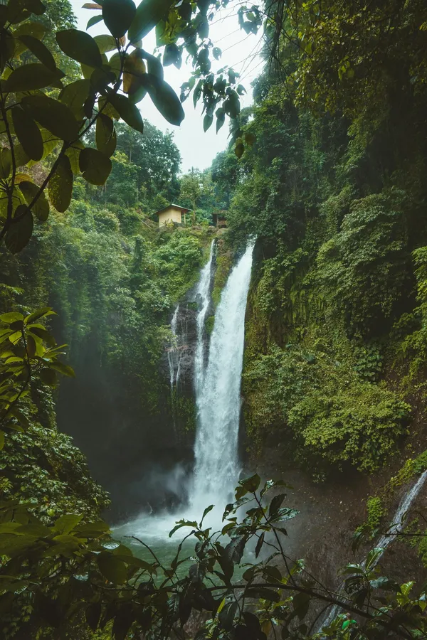 Stunning waterfall in a lush tropical rainforest in Sukasada, Bali. Perfect for nature lovers.
