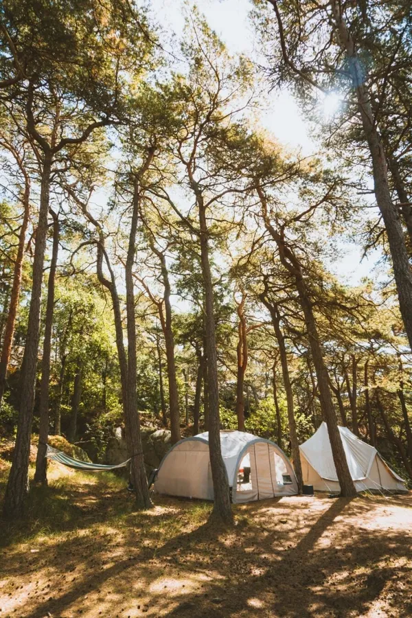 How to Start a Glamping Business: The Ultimate Guide