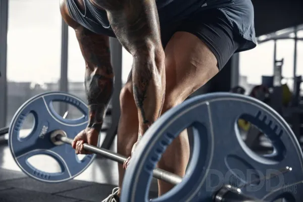 Here's Why Being a Fitness Freak Pays Off!